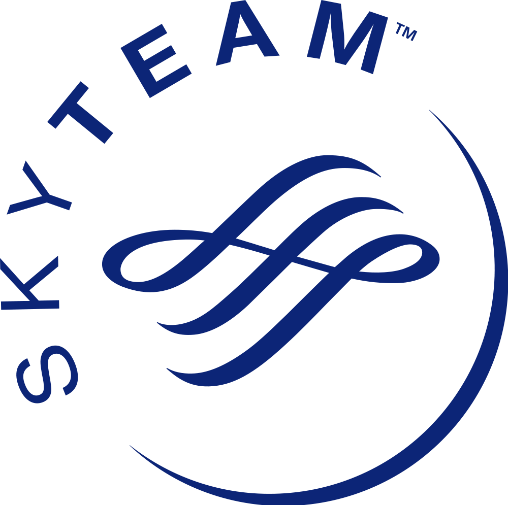 skyteam logo设计,天合联盟标志设计