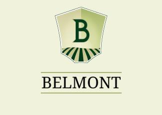 BELMONT标志logo设计，品牌vi设计