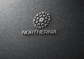 Northerna标志logo设计，品牌vi设计