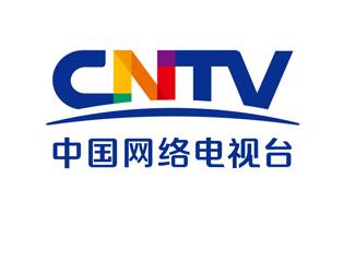 中国网络电视台CNTV标志标志logo设计，品牌vi设计