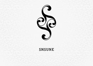 SNSUNE商店标志标志logo设计，品牌vi设计