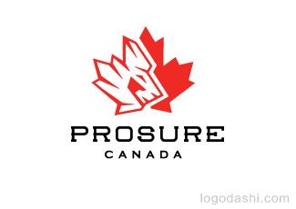 Prosure加拿大标志logo设计，品牌vi设计