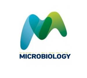 英国普通微生物学会logo标志logo设计，品牌vi设计