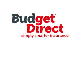 澳大利亚BudgetDirect保险标志logo设计，品牌vi设计