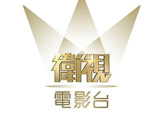 卫视电影台标志logo设计，品牌vi设计