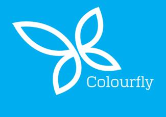 Colourfly商标标志logo设计，品牌vi设计