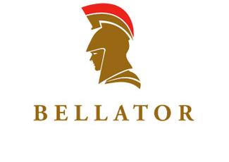 Bellator夜总会标志logo设计，品牌vi设计