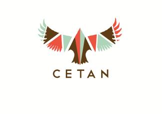 cetan标志logo设计，品牌vi设计